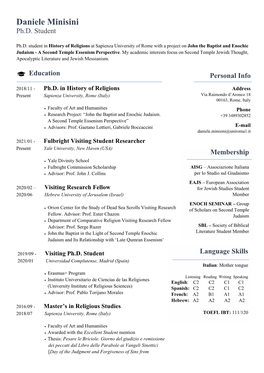 Curriculum Daniele Minisini.Pdf