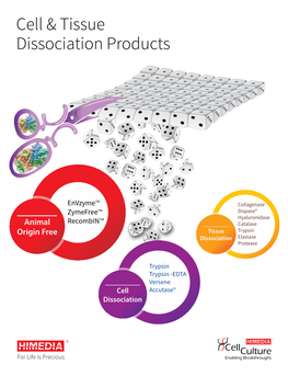 Cell & Tissue Dissociation Products