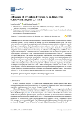 Influence of Irrigation Frequency on Radicchio (Cichorium Intybus