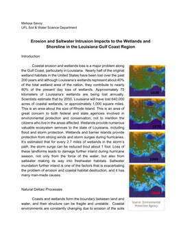 Erosion and Saltwater Intrusion Impacts to the Wetlands and Shoreline in the Louisiana Gulf Coast Region