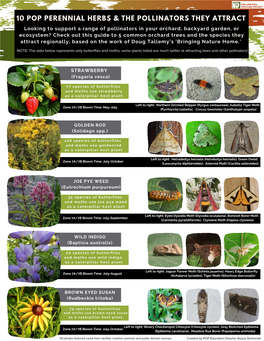 POP Plants & the Pollinators They Attract