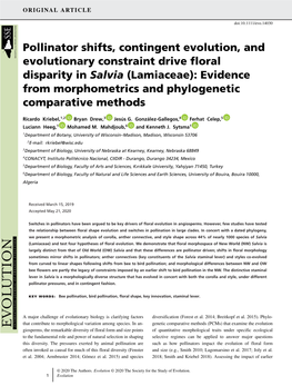 Pollinator Shifts, Contingent Evolution, and Evolutionary Constraint Drive