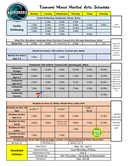 Tsunami Mixed Martial Arts Schedule