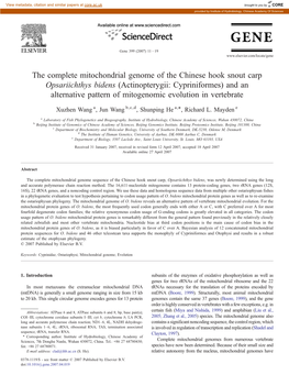 The Complete Mitochondrial Genome of the Chinese Hook Snout