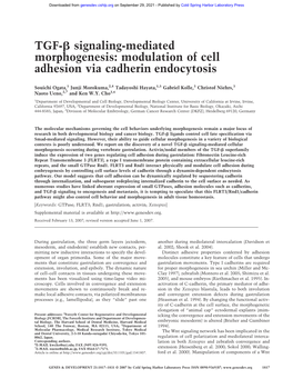 Modulation of Cell Adhesion Via Cadherin Endocytosis