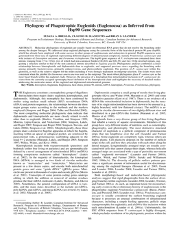 Euglenozoa) As Inferred from Hsp90 Gene Sequences