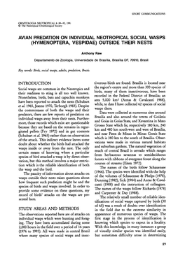 Avian Predation on Individual Neotropical Social Wasps (Hymenoptera, Vespidae) Outside Their Nests