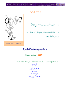 RNA Structure & Synthesis