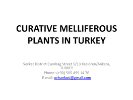 Curative Melliferous Plants in Turkey