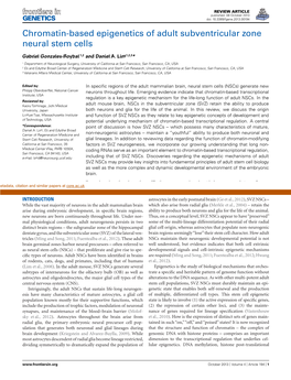 Chromatin-Based Epigenetics of Adult Subventricular Zone Neural Stem Cells