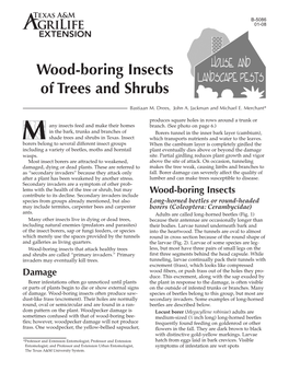 Wood-Boring Insects of Trees and Shrubs