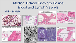 Medical School Histology Basics Blood and Lymph Vessels VIBS 243 Lab Introduction Multicellular Organisms Need 3 Mechanisms ------1