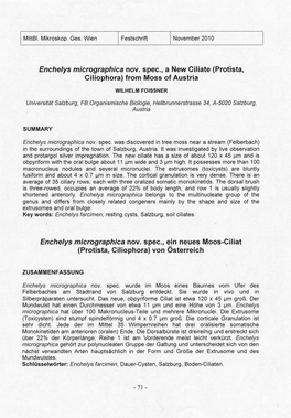 Enchelys Micrographica Nov. Spec., a New Ciliate (Protista, Ciliophora) from Moss of Austria