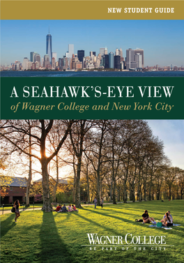 A Seahawk's-Eye View