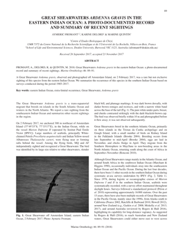 Great Shearwaters Ardenna Gravis in the Eastern Indian Ocean: a Photo-Documented Record and Summary of Recent Sightings