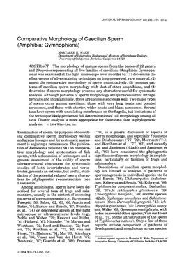 Comparative Morphology of Caecilian Sperm (Amphibia: Gymnophiona)