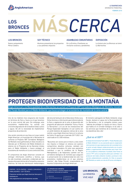 Protegen Biodiversidad De La Montaña