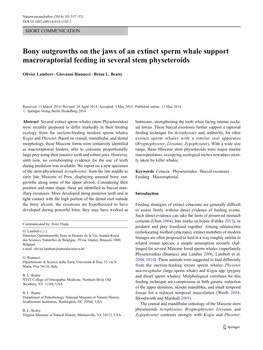 Bony Outgrowths on the Jaws of an Extinct Sperm Whale Support Macroraptorial Feeding in Several Stem Physeteroids