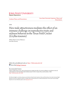 How Male Attractiveness Mediates the Effect of an Immune Challenge On