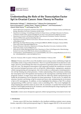 Understanding the Role of the Transcription Factor Sp1 in Ovarian Cancer: from Theory to Practice