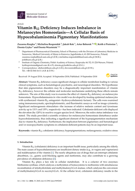 Vitamin B12 Deficiency Induces Imbalance in Melanocytes