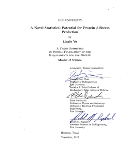 A Novel Statistical Potential for Protein Beta-Sheet Prediction