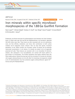 Iron Minerals Within Specific Microfossil