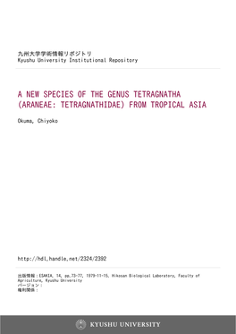 A New Species of the Genus Tetragnatha (Araneae: Tetragnathidae) from Tropical Asia