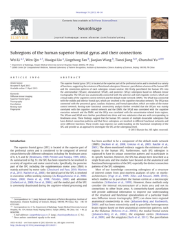 Subregions of the Human Superior Frontal Gyrus and Their Connections