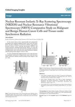 Nuclear Resonant Inelastic X–Ray Scattering Spectroscopy (NRIXSS)