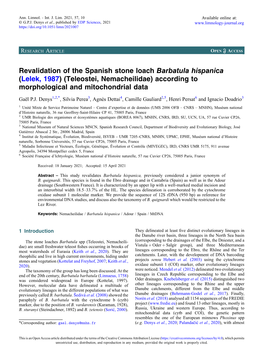 Revalidation of the Spanish Stone Loach Barbatula Hispanica (Lelek, 1987) (Teleostei, Nemacheilidae) According to Morphological and Mitochondrial Data