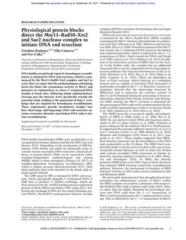 Physiological Protein Blocks Direct the Mre11–Rad50–Xrs2 and Sae2