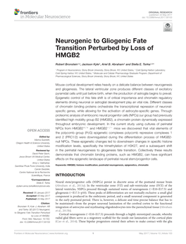 Neurogenic to Gliogenic Fate Transition Perturbed by Loss of HMGB2