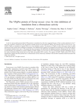 The Vpgpro Protein of Turnip Mosaic Virus: in Vitro Inhibition of Translation from a Ribonuclease Activity ⁎ Sophie Cotton 1, Philippe J