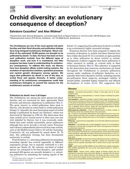 Orchid Diversity: an Evolutionary Consequence of Deception?