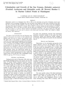 Colonisation and Growth of the Sea Grasses, Halodule Uninervis (Forskal) Ascherson and Halophila Ovalis (R