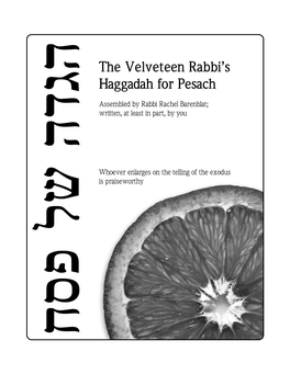 Velveteen-Rabbi-Haggadah-2015