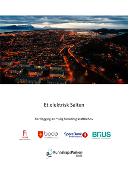 Et Elektrisk Salten