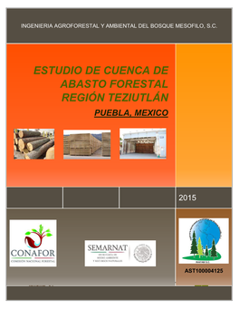 Estudio De Cuenca De Abasto Forestal Región Teziutlán 2015 Ingenieria Agroforestal Y Ambiental Del Bosque Mesofilo, S.C