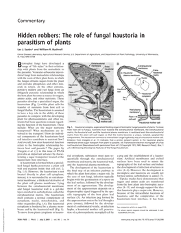 The Role of Fungal Haustoria in Parasitism of Plants