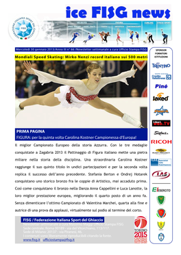 Newsletter Fisg 30-01-13