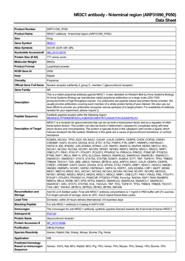 N-Terminal Region (ARP31090 P050) Data Sheet