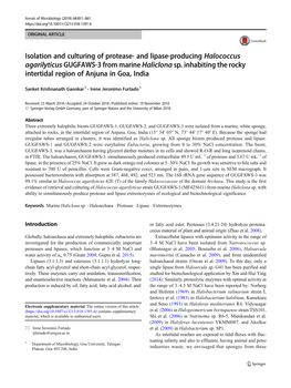 And Lipase-Producing Halococcus Agarilyticus GUGFAWS-3 from Marine Haliclona Sp