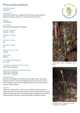 Pterostylis Alobula