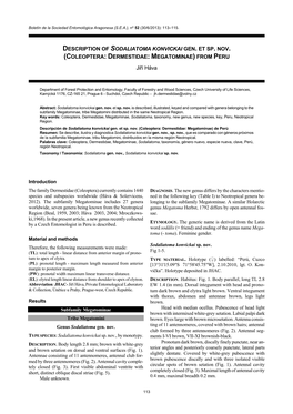 Description of Sodaliatoma Konvickai Gen. Et Sp. Nov. (Coleoptera: Dermestidae: Megatominae) from Peru