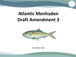 Atlantic Menhaden Draft Amendment 3