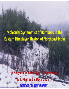 Molecular Systematics of Bamboos in the Eastern Himalayan Region of Northeast India