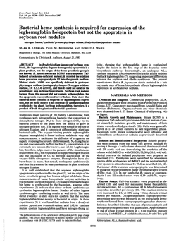 Leghemoglobin Holoprotein but Not the Apoprotein in Soybean Root Nodules