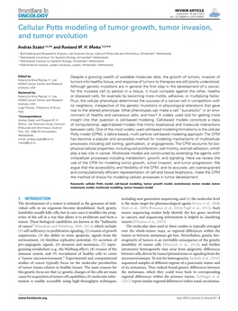 Cellular Potts Modeling of Tumor Growth, Tumor Invasion, and Tumor Evolution