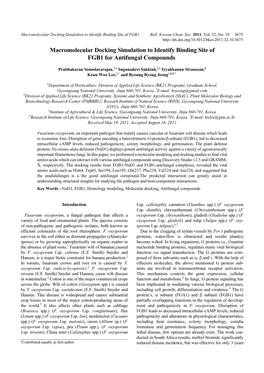 Macromolecular Docking Simulation to Identify Binding Site of FGB1 for Antifungal Compounds